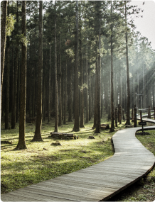 Mask group - 2025-09-22T094316.718